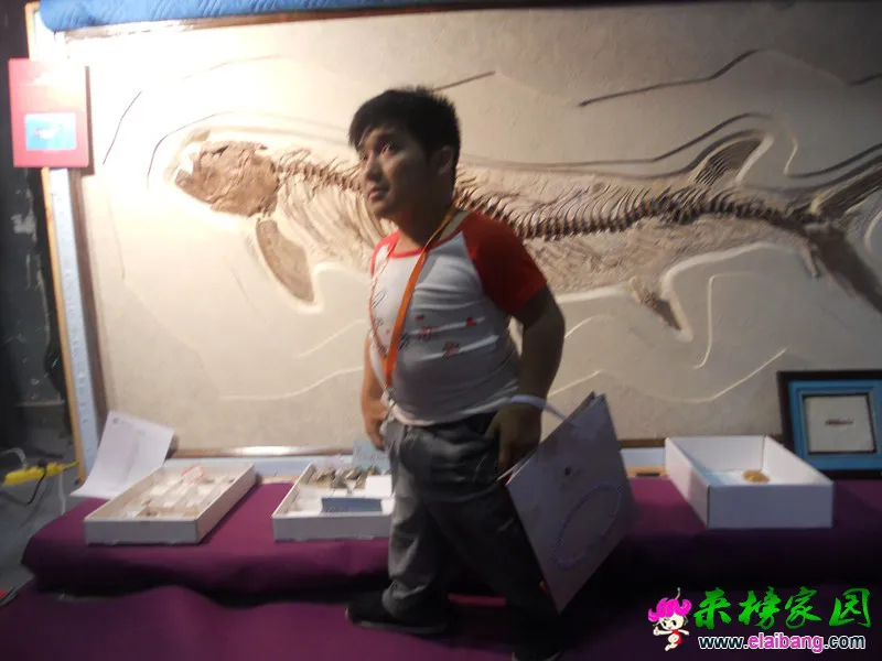 DSCN2926_副本.webp
