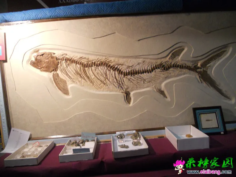 DSCN2927_副本.webp