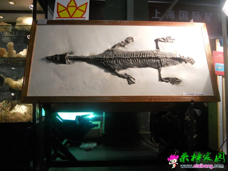 DSCN2928_副本.webp