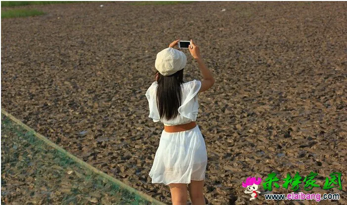QQ图片20140731085134.webp