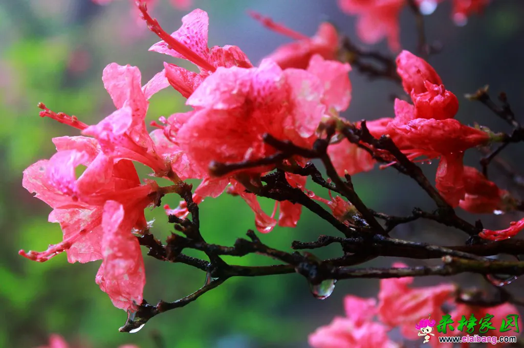 IMG_1717_副本.webp