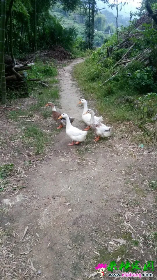 QQ图片2014073114134211.webp