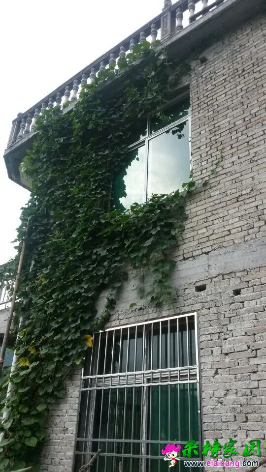 QQ图片2014073114134922.webp