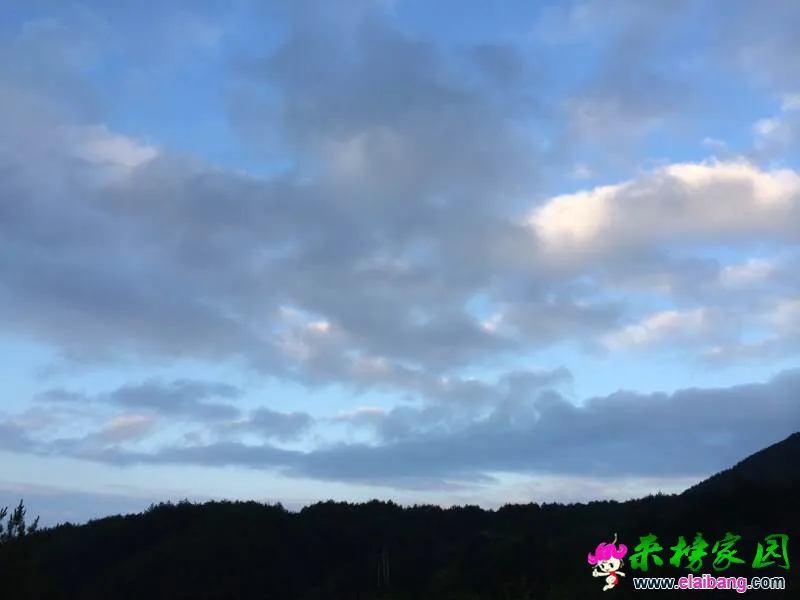 130356ext3xqmy23i33mxi.webp