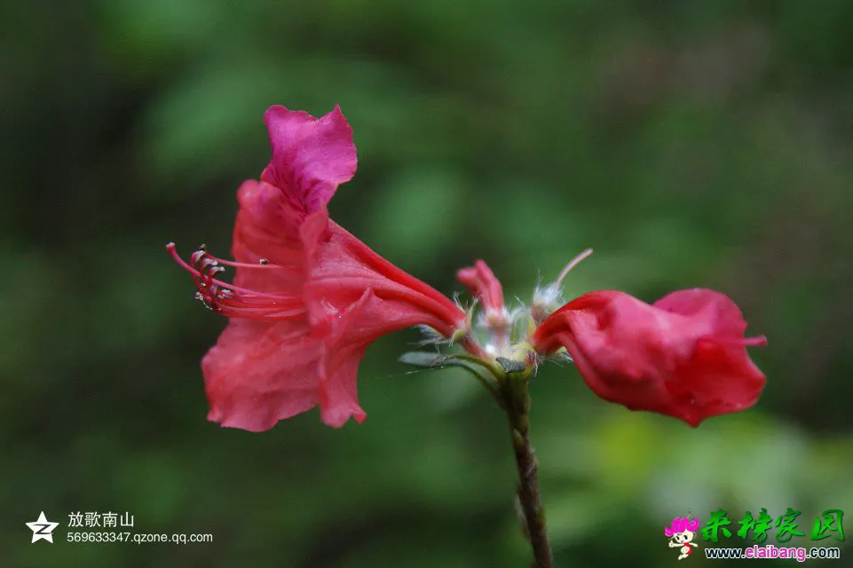 psb(7).webp