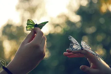 t01a24930dcb557f5cd.webp