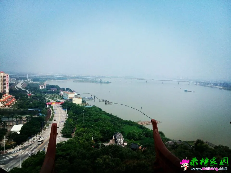 QQ图片20140802122918.webp