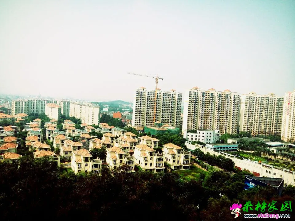QQ图片20140802122742.webp