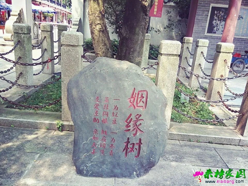 QQ图片20140802123449.webp