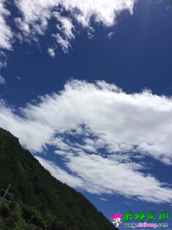 131009uwis60w4su4vnx0s.webp