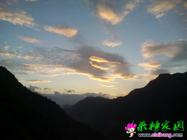 132329nnr5ut0d77t7hlr0.webp