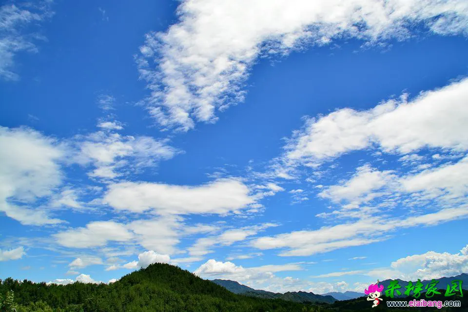 psb (75).webp