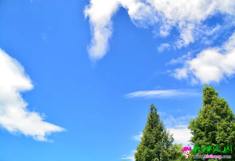 psb (79).webp