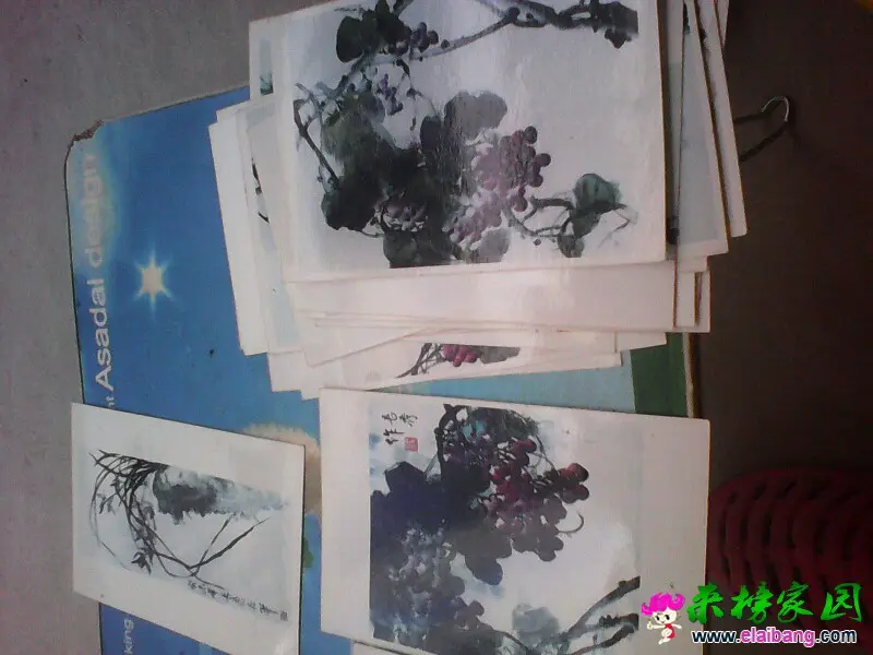 163521mvjtlcwjd5jtljdt.webp
