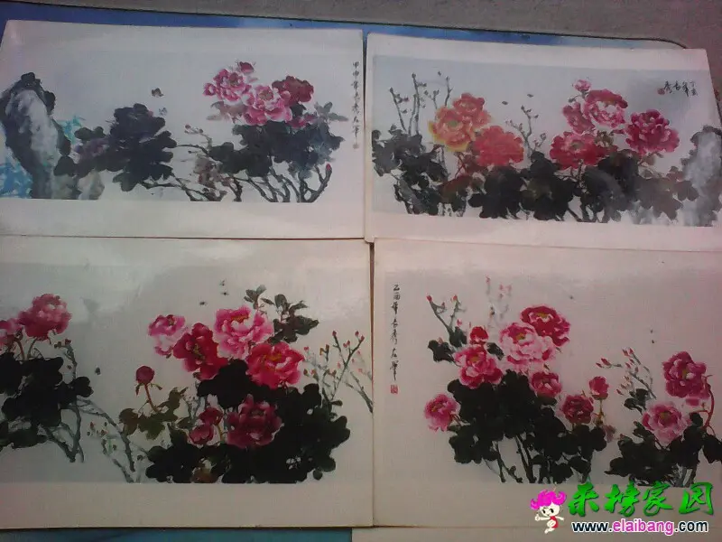 163528oo8v03z0qgx5g5to.webp