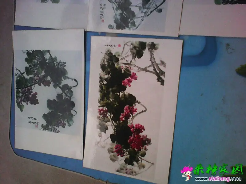 163533w4xfoozbftf2fxbc.webp