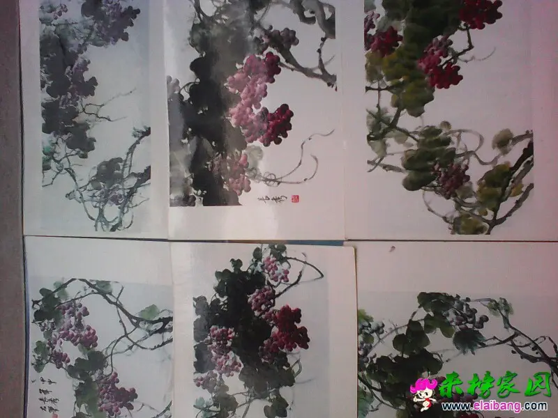 163535jjx0c0mcgc6xxpsc.webp