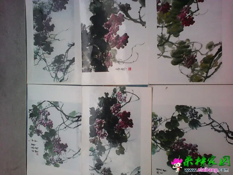 163538nr2r59np2xnn2ngn.webp