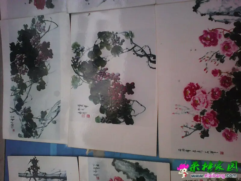 163543u4r010rd3ws4dc4z.webp