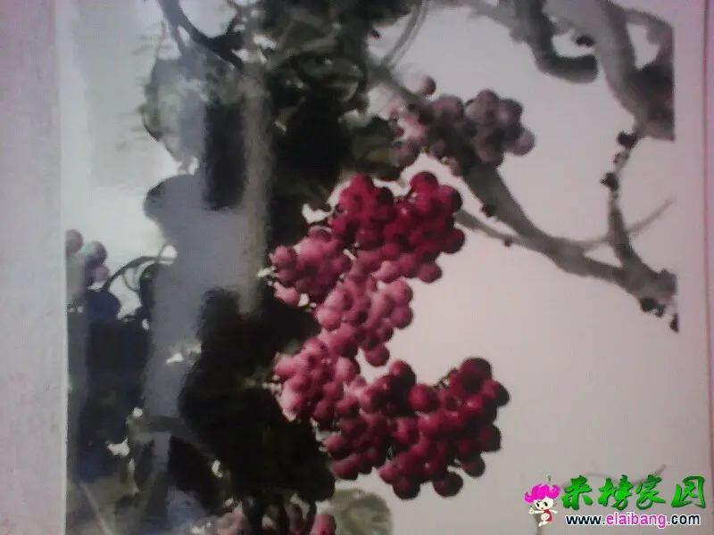 170732jkkrpoorzovb7ber.webp