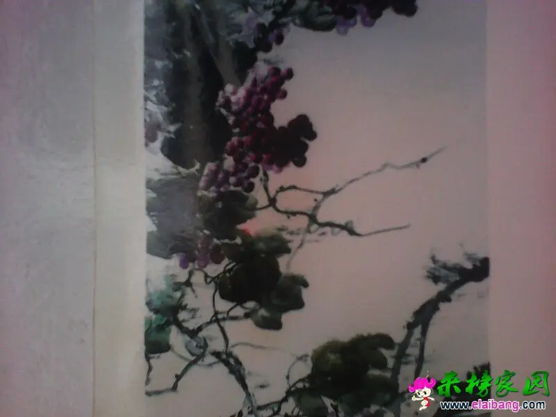 170737nzwtm71p91p1orcp.webp