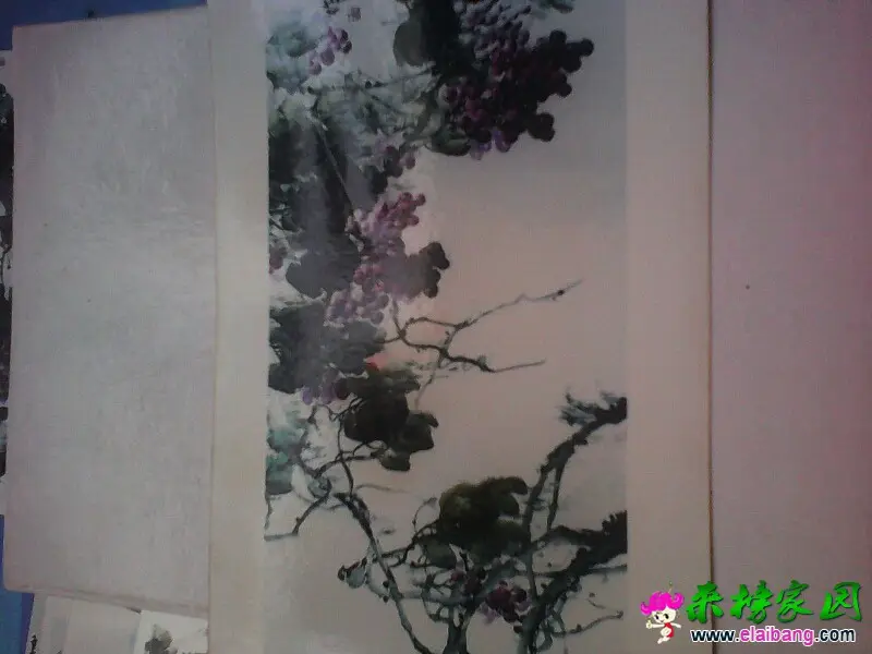 170739ty3ylx2ykybmxj92.webp