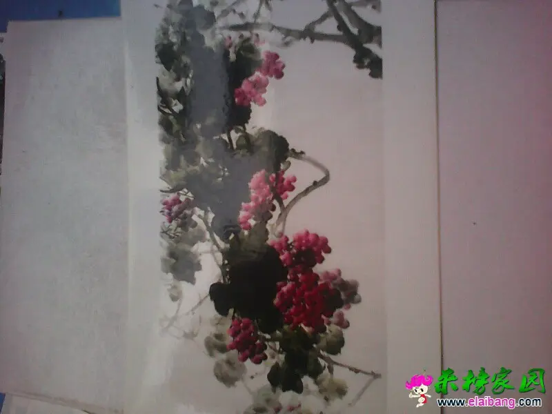 170741rrvi2245i2br9mvx.webp