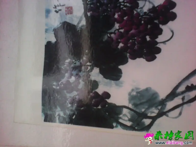 170744y7dh6qpnb7nwzznh.webp