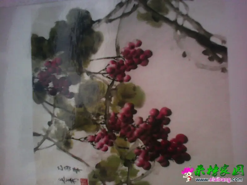 170748i7224o2izoqlknzo.webp