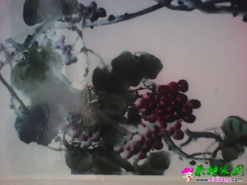 170751gvecvpvfsrs37p1c.webp