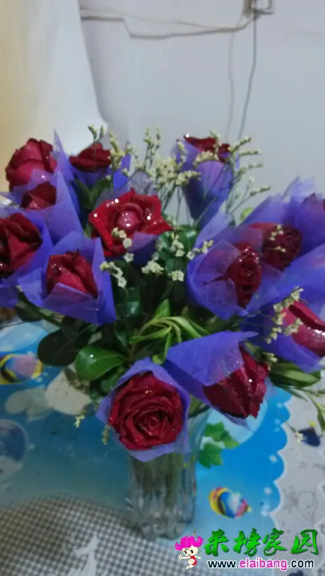 220205n113mq6o19q3u716.webp