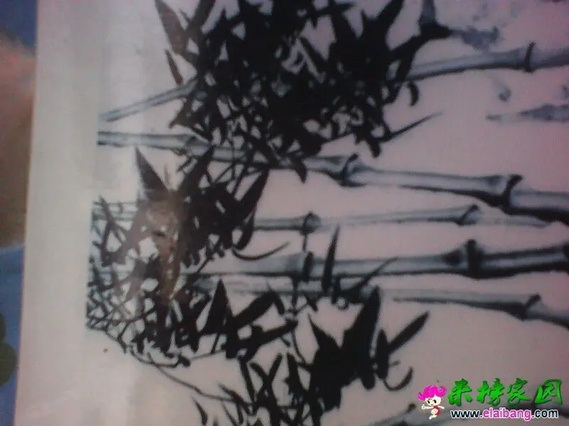 221110m9hdn3j0999n630h.webp