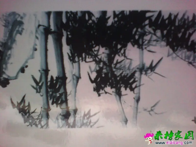 221126csll7tyn3mmn19lq.webp