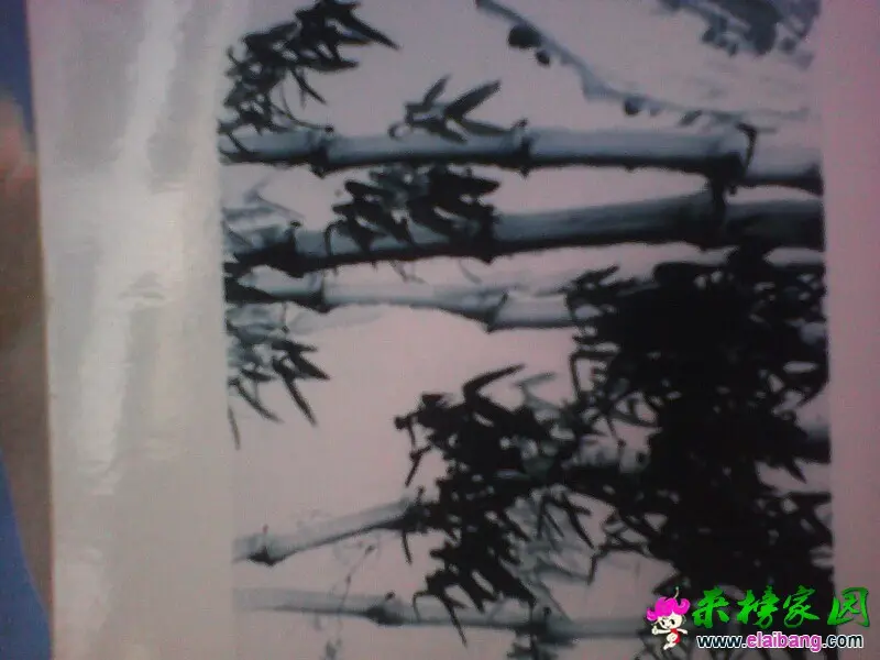 221129g15i5ae54ik54s87.webp