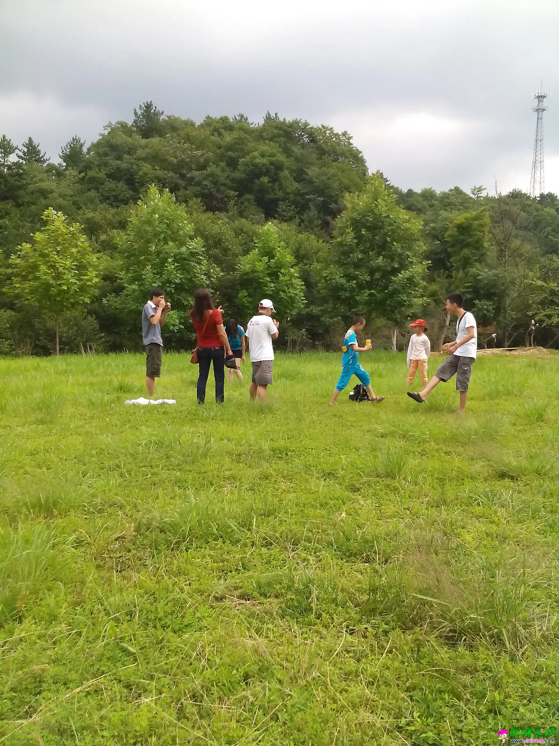 IMG_20140803_132237_1.webp
