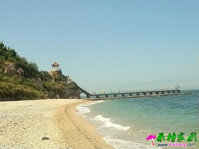 8.webp