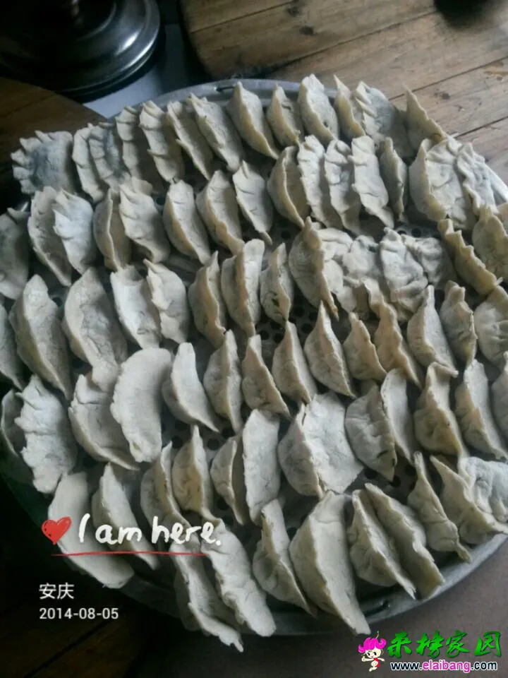 QQ图片20140803202428444.webp