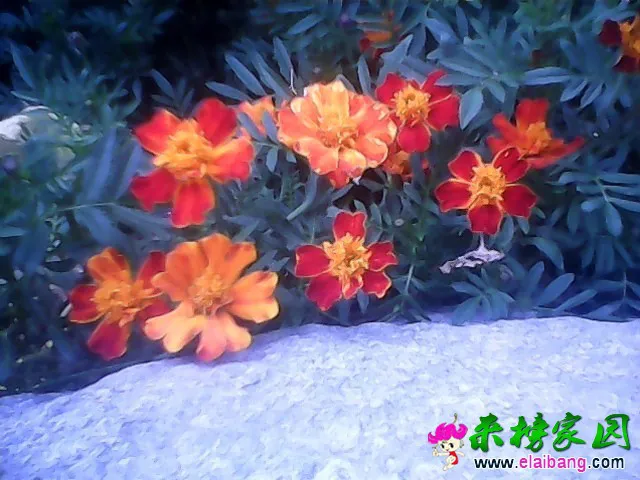 1407244094407.webp