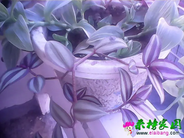 1407244063547.webp