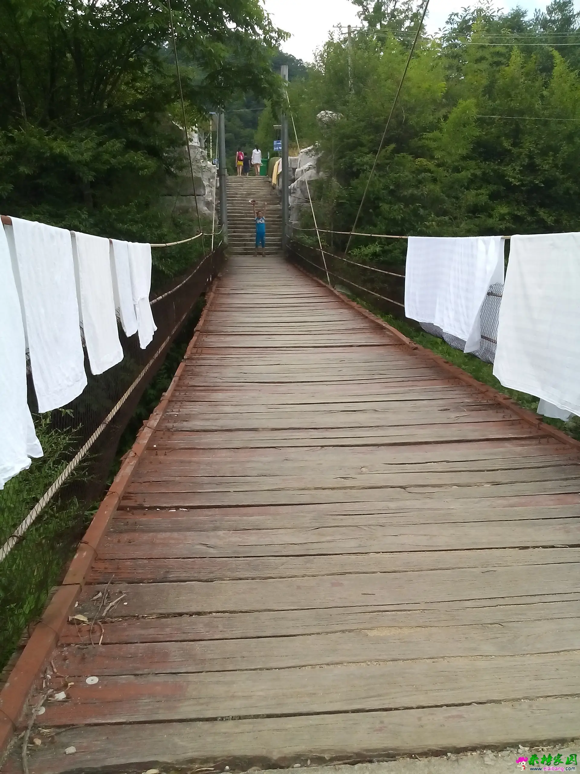 IMG_20140803_113509.webp