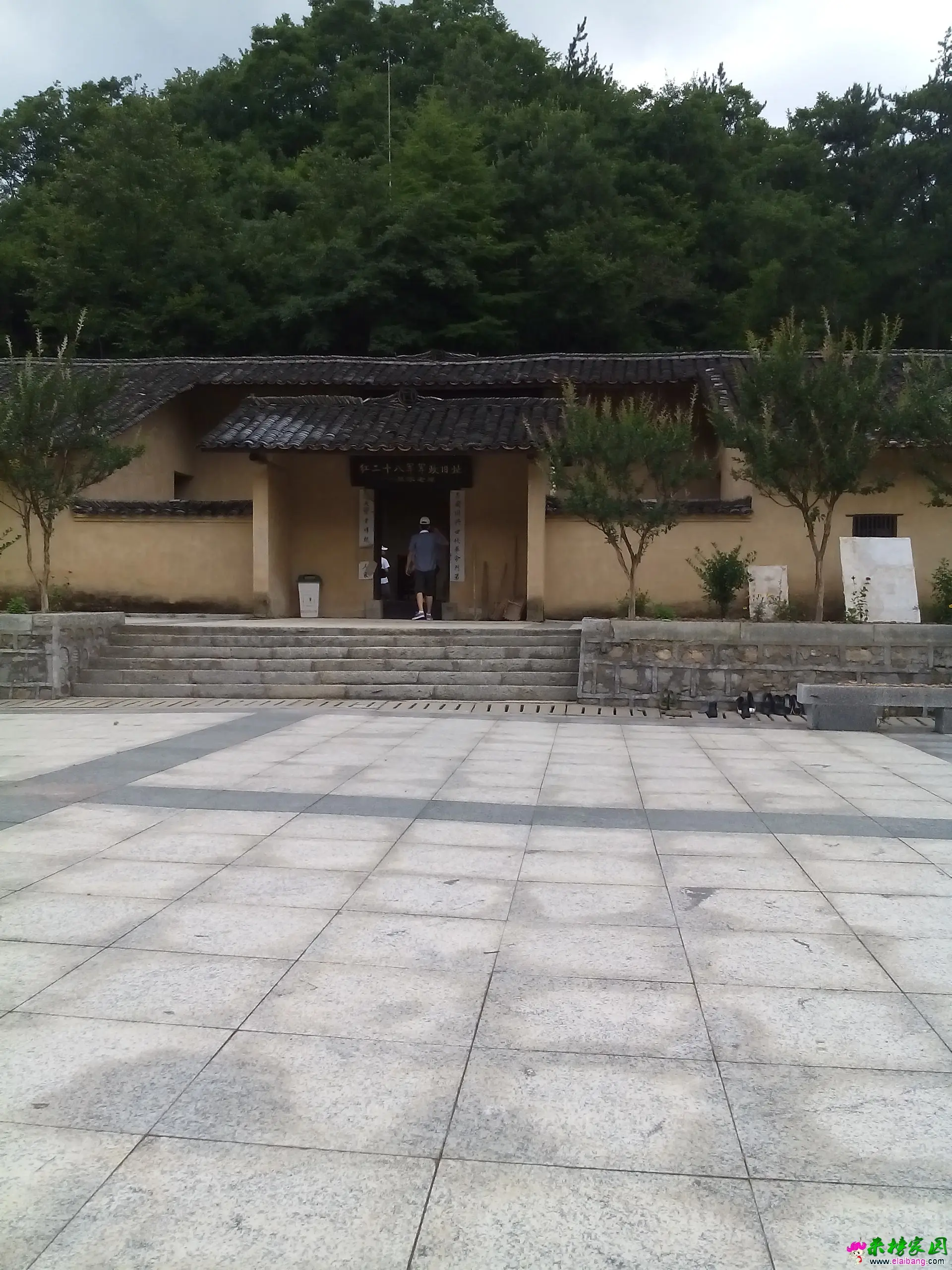 IMG_20140803_113911.webp