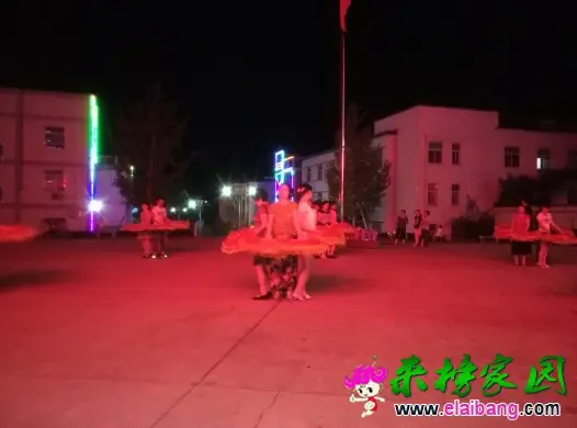 204220n080ksql1a8i8bib.webp