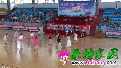 205201epityjilexg881gc.webp