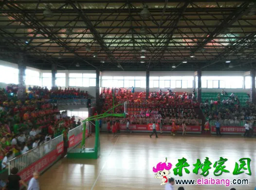085455ne3q6k3m866xheqh.webp