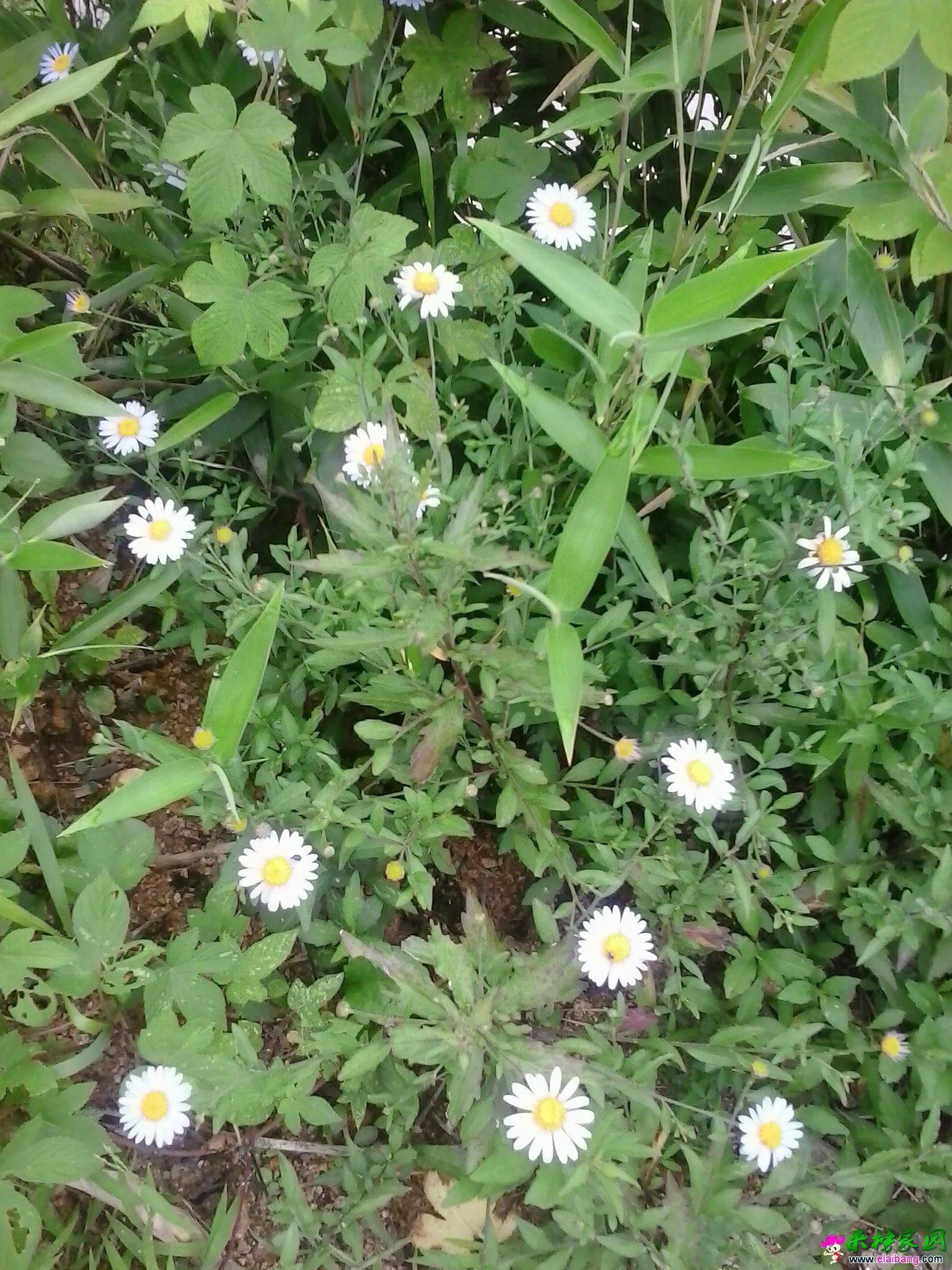 20140808_074151.webp