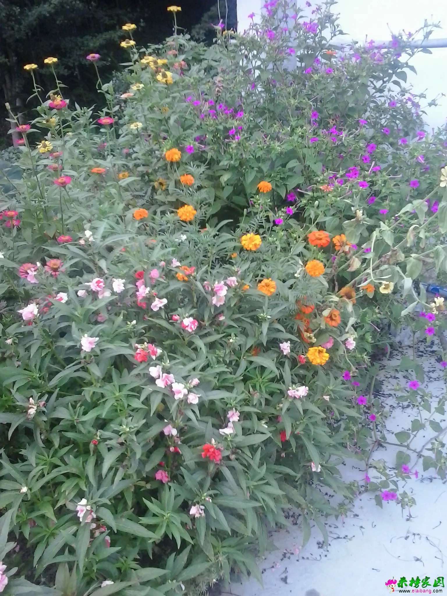 20140807_172909.webp