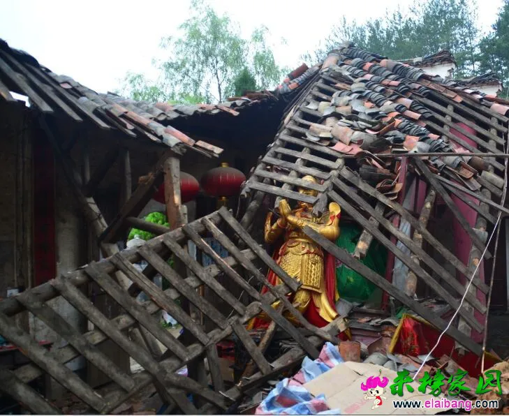 QQ图片20140812172156888.webp