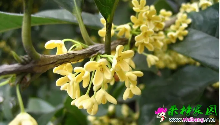 QQ截图20140813144731.webp