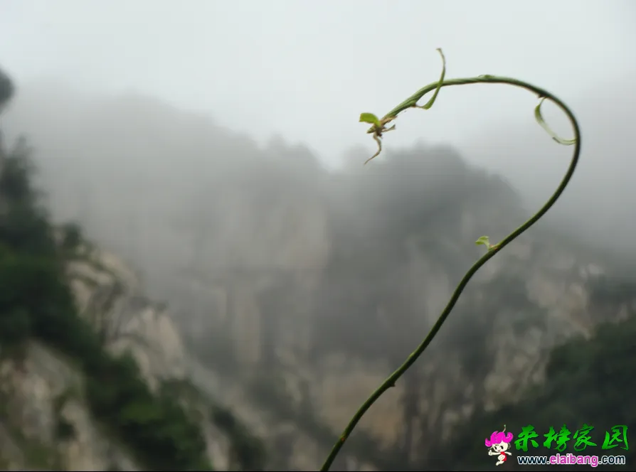 QQ截图20140813145218.webp