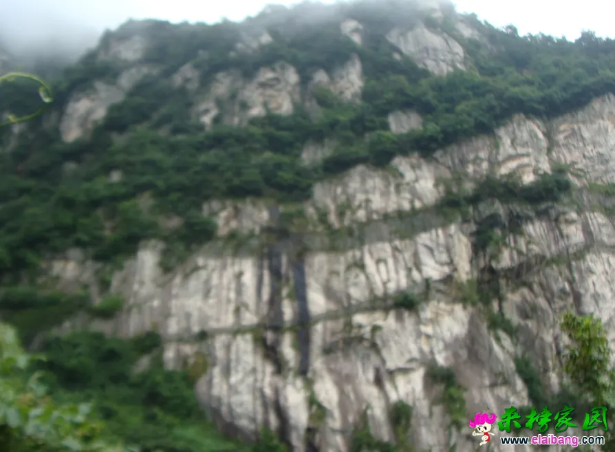 QQ截图20140813145230.webp